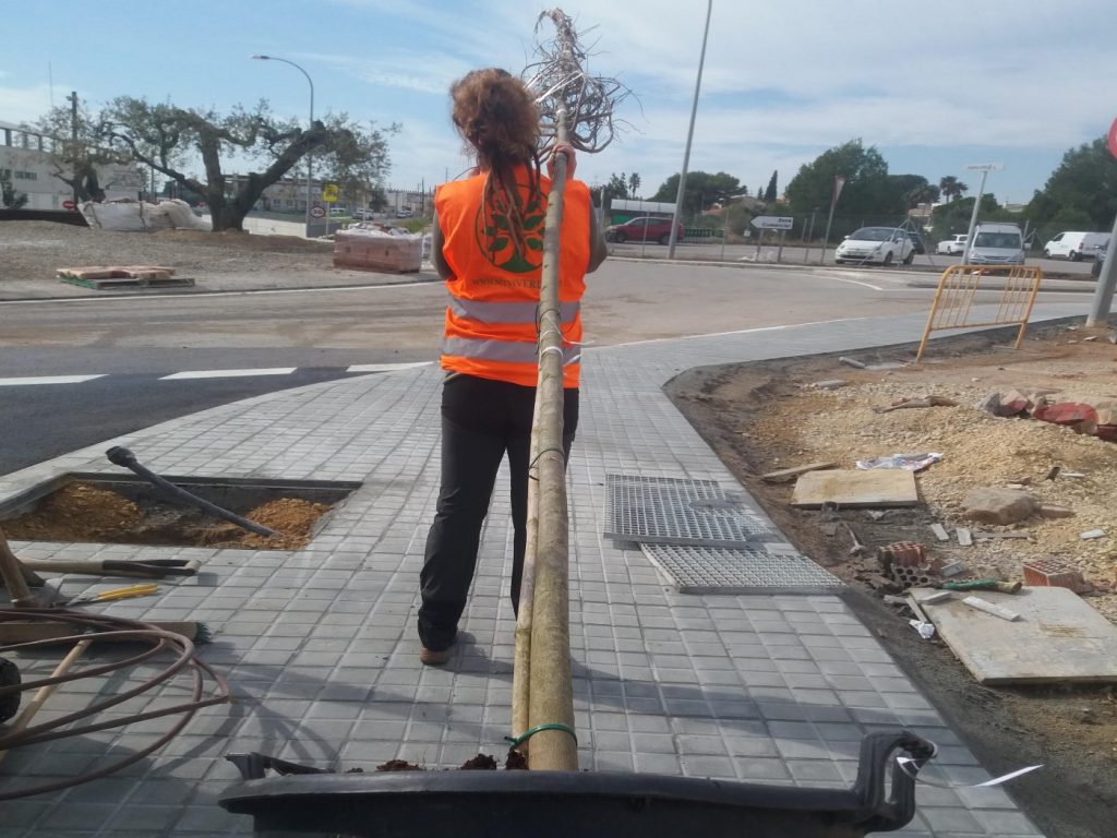 Plantació 2 serveis arboricultura plantacio arbres reus tarragona portada