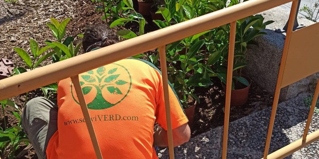 serveis manteniment jardins reus tarragona portada